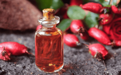 Rosehip oil as a gift from nature: is it really so effective?