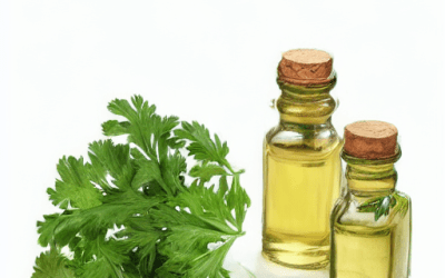 Parsley oil: why is it so special?